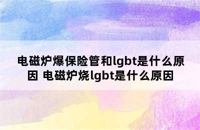 电磁炉爆保险管和lgbt是什么原因 电磁炉烧lgbt是什么原因